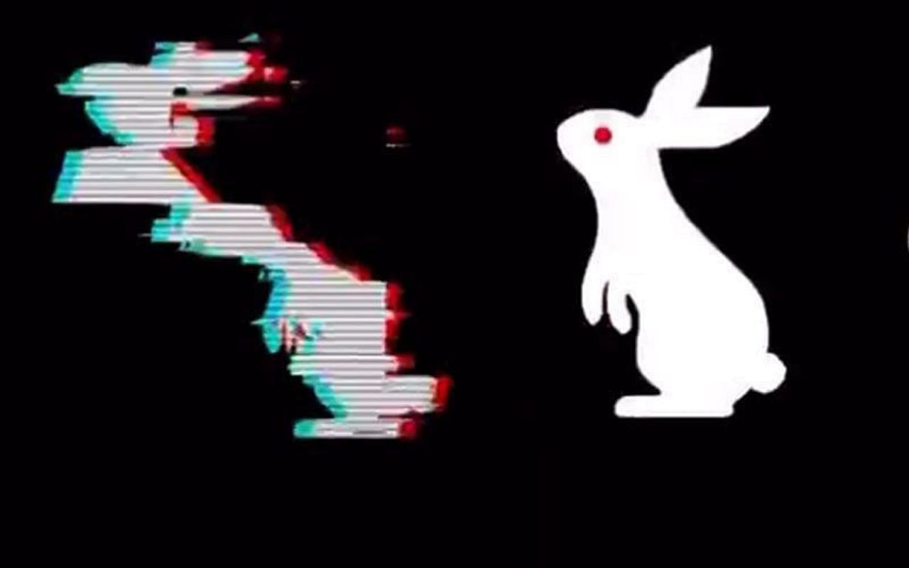 WWE में White Rabbit की मिस्ट्री जल्द सुलझ सकती है