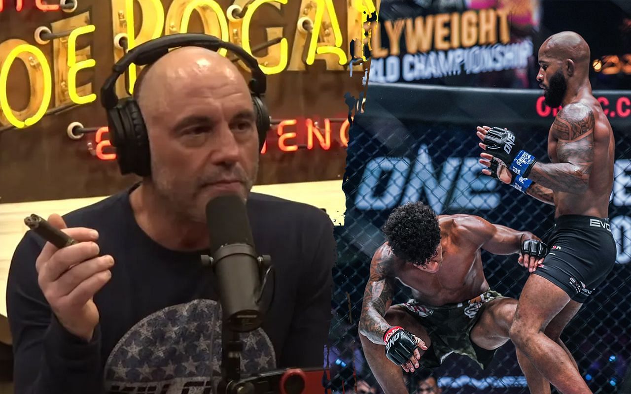 Joe Rogan, Demetrious Johnson