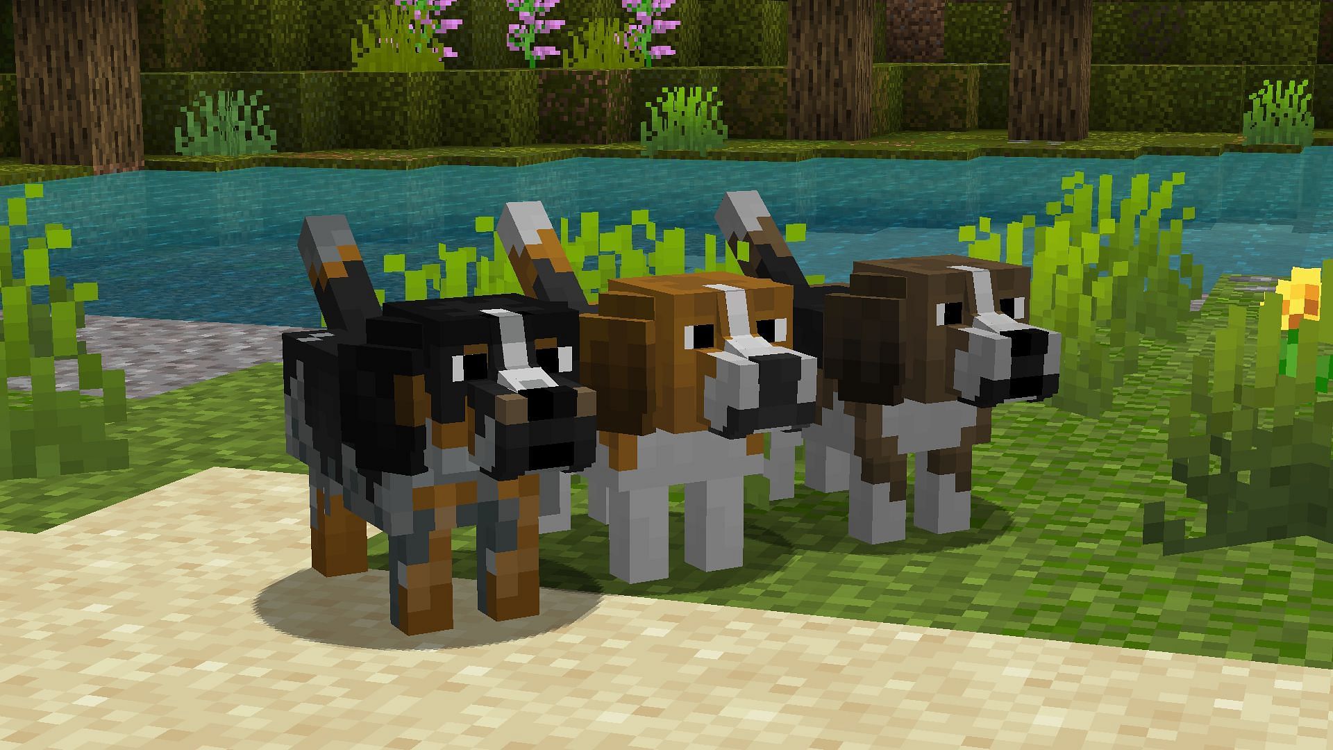 Wolves can completely change into different dog breeds in Minecraft 1.19.2 (Image via CurseForge)