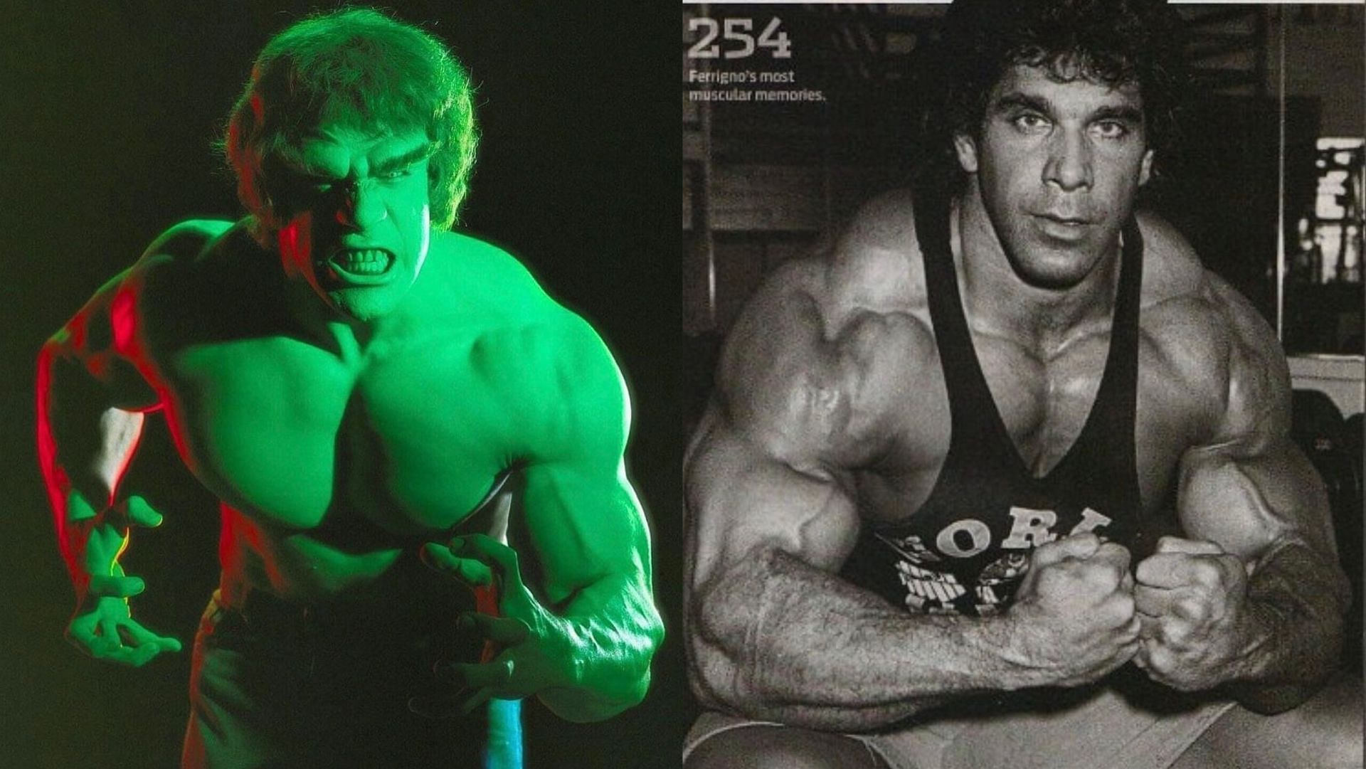 Bodybuiling Legend Lou Ferrigno AKA &quot; The Incredible Hulk&quot; (Image via Instagram @theofficiallouferrigno)