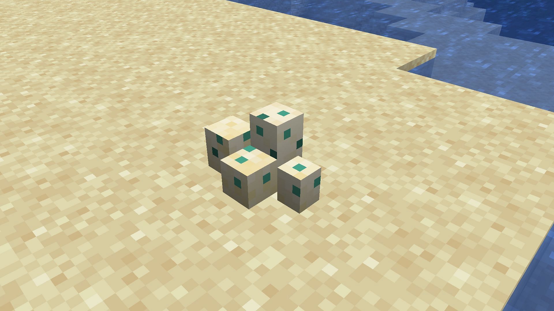 Turtle eggs are some of the most fragile objects in Minecraft (Image via Mojang)