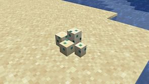 Turtle eggs in Minecraft: All you need to know