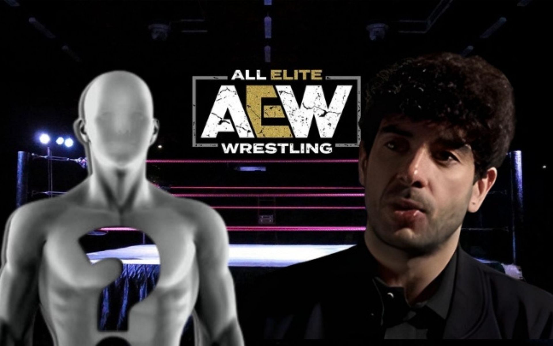 Ex-AEW star airs his perception! 