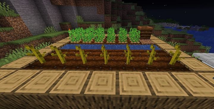 Pumpkin Stem in Minecraft