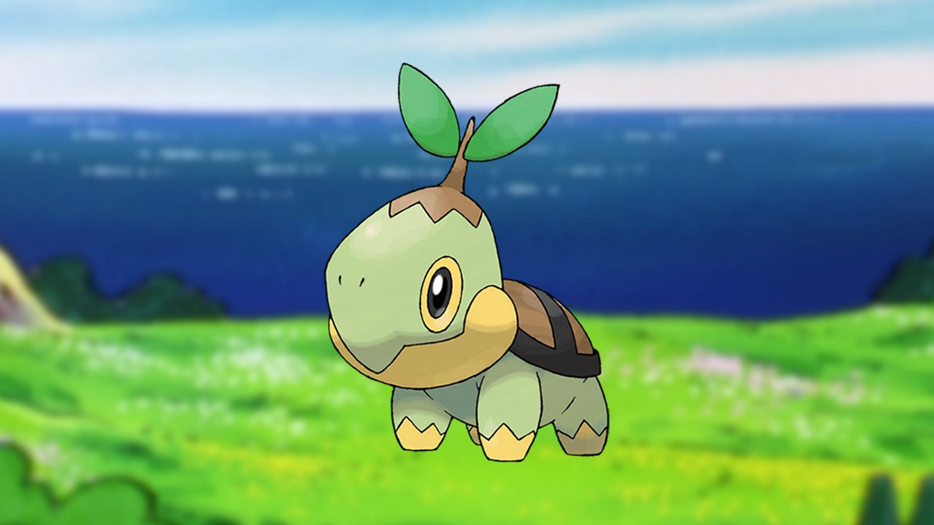 Turtwig as it appears in the anime (Image via The Pokemon Company)