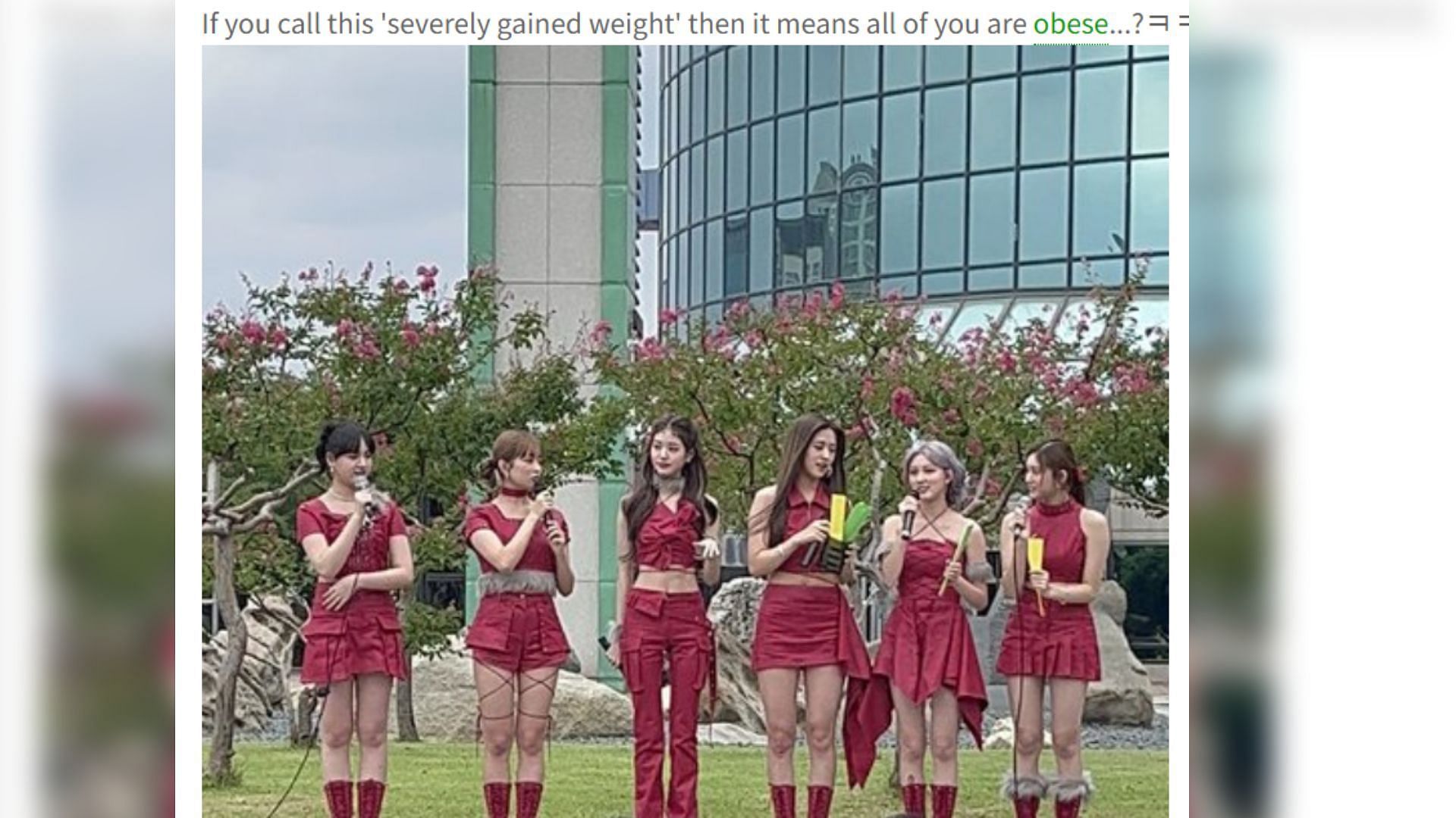 A K-netizen&#039;s comment on IVE members&#039; weight gain (Image via theqoo)