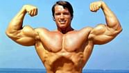 How Much Protein Did Arnold Schwarzenegger Eat Daily To Build Muscle 