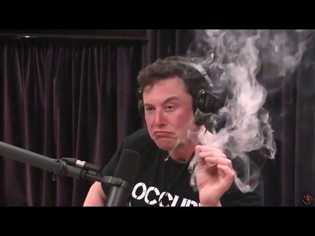 The Infamous Moment When Joe Rogan And Elon Musk Lit Up A Blunt That ...