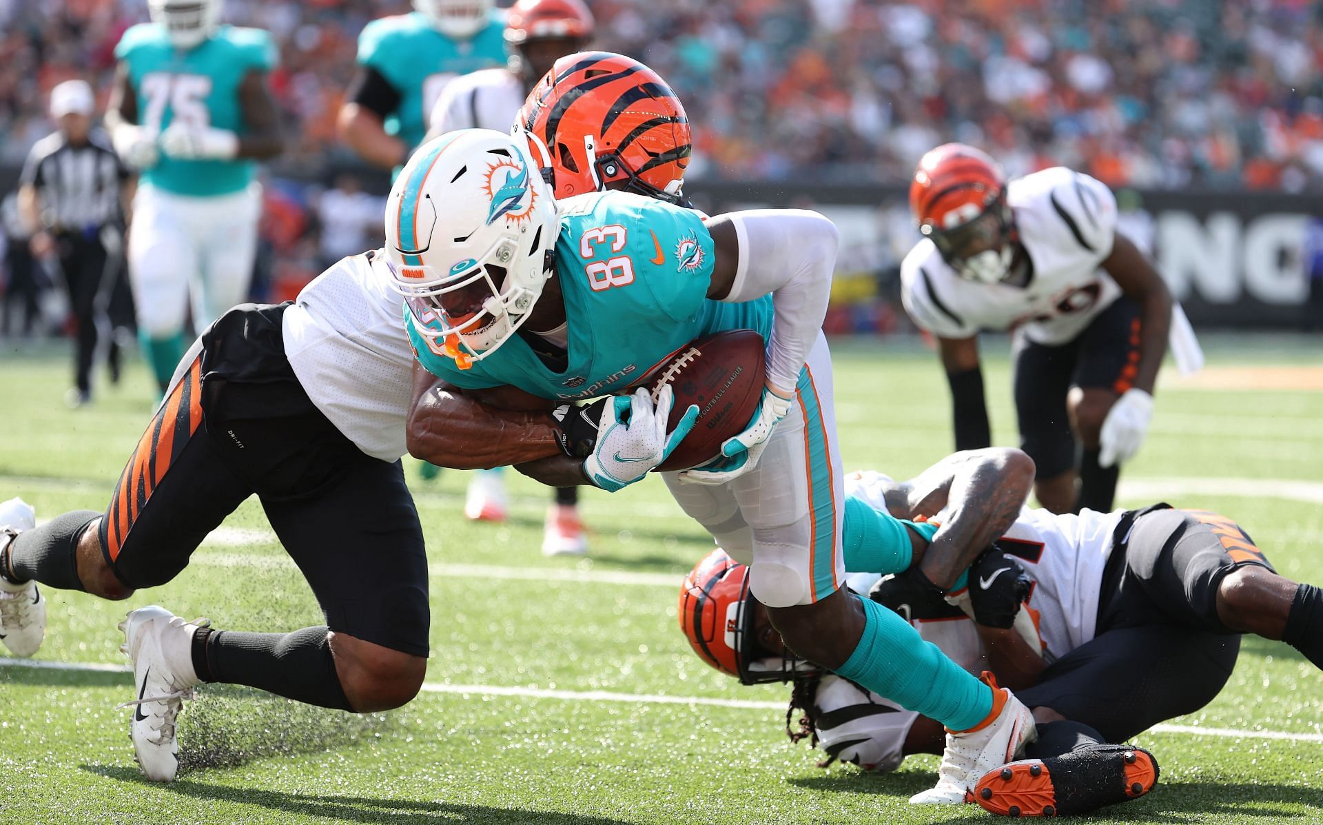 Miami Dolphins v Cincinnati Bengals