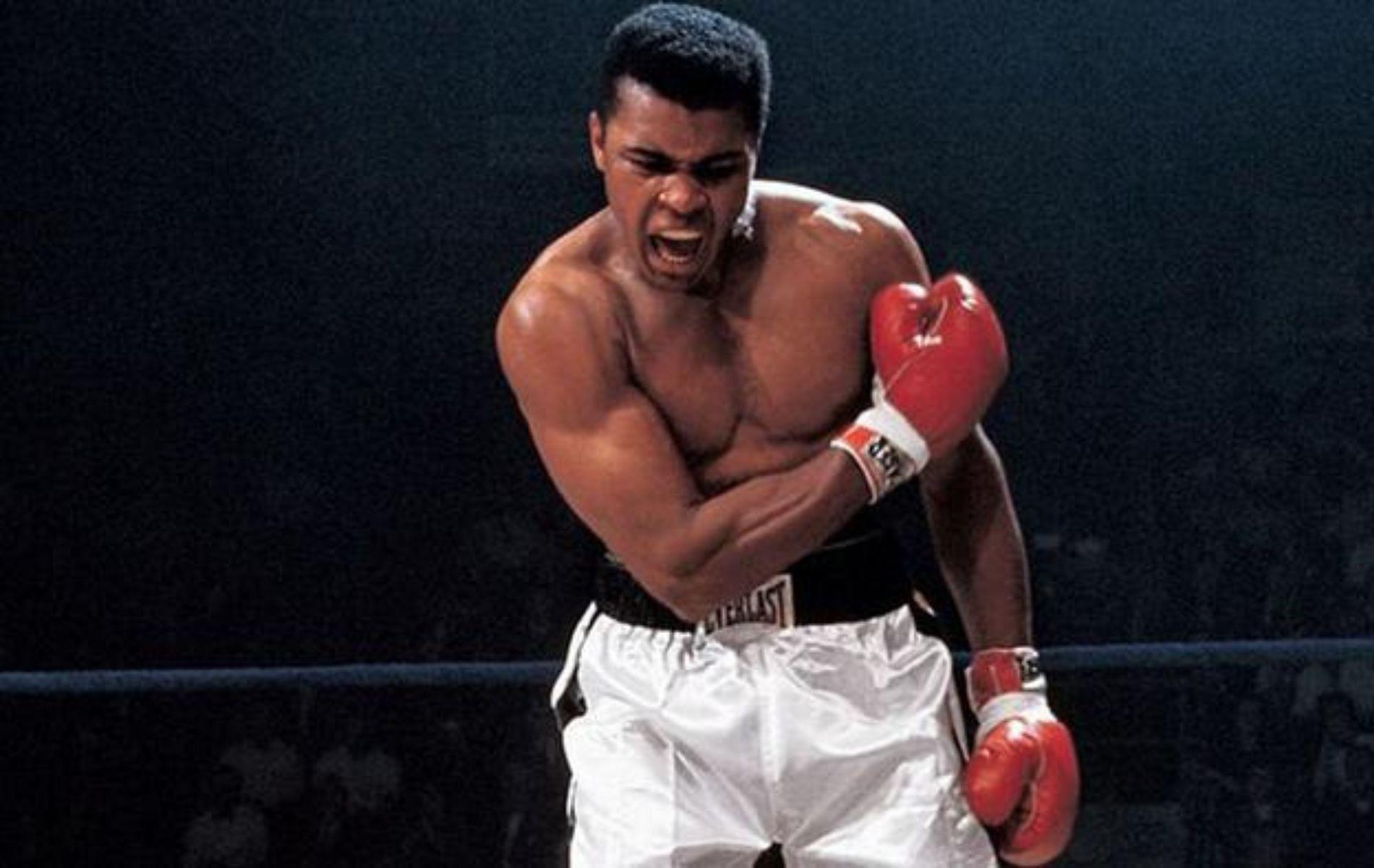 How many fights did Muhammad Ali win?