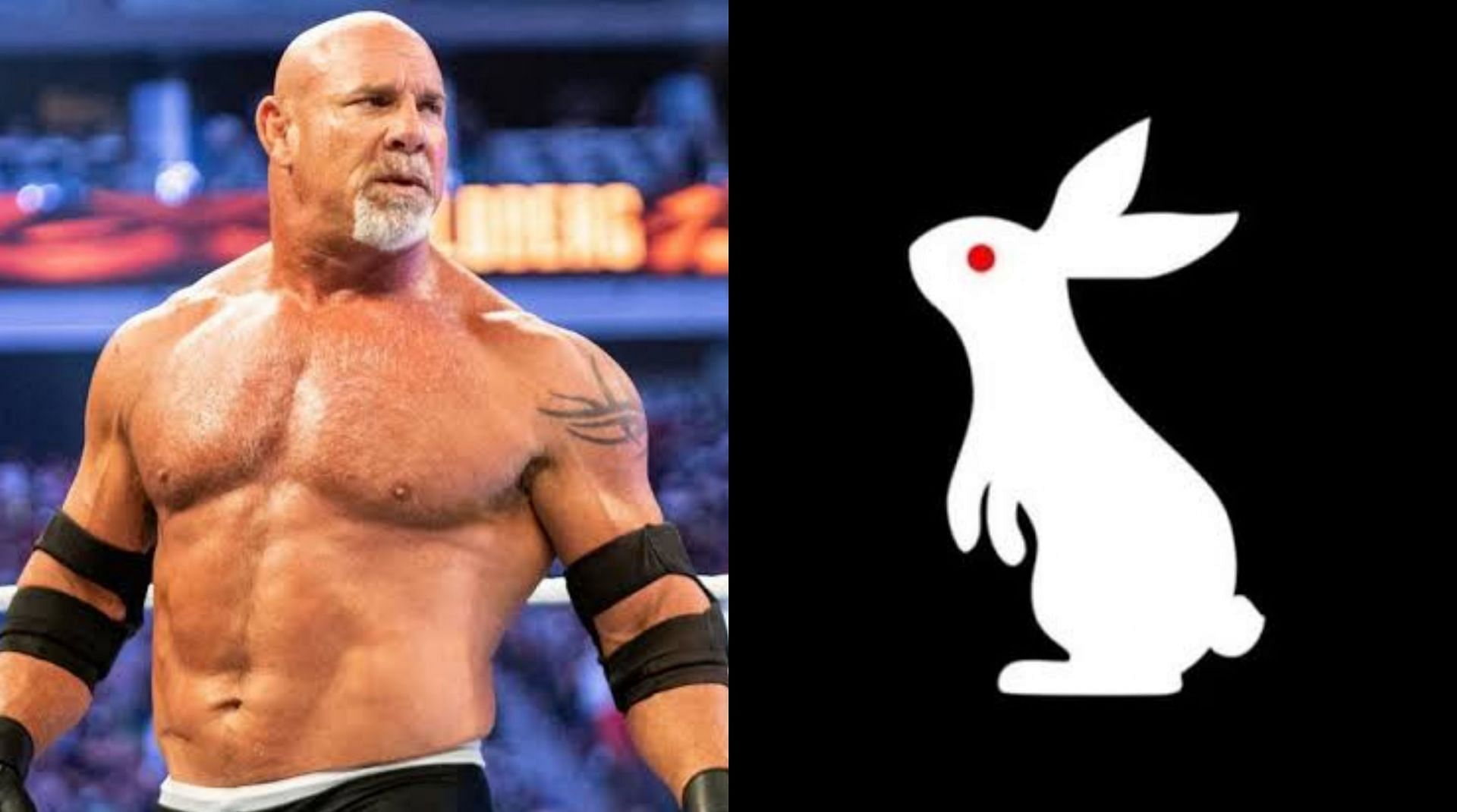 Goldberg hints at involvement in WWE white rabbit mystery