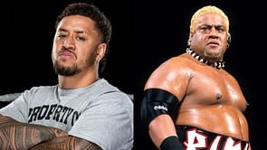 How did Rikishi help Solo Sikoa to win a championship before coming to WWE?