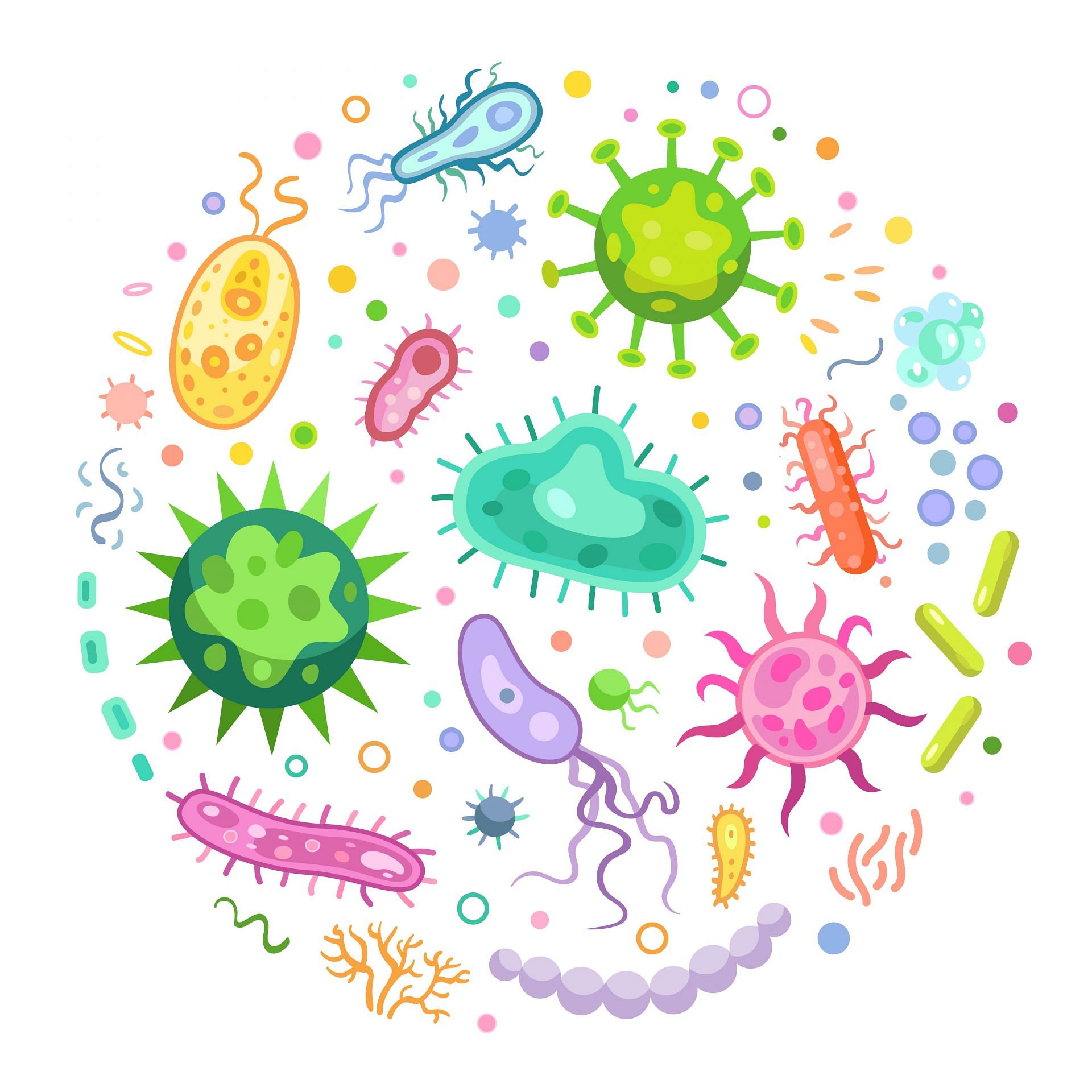 We have been taught to see bacteria only in a negative light. (Image via Freepik/vector)