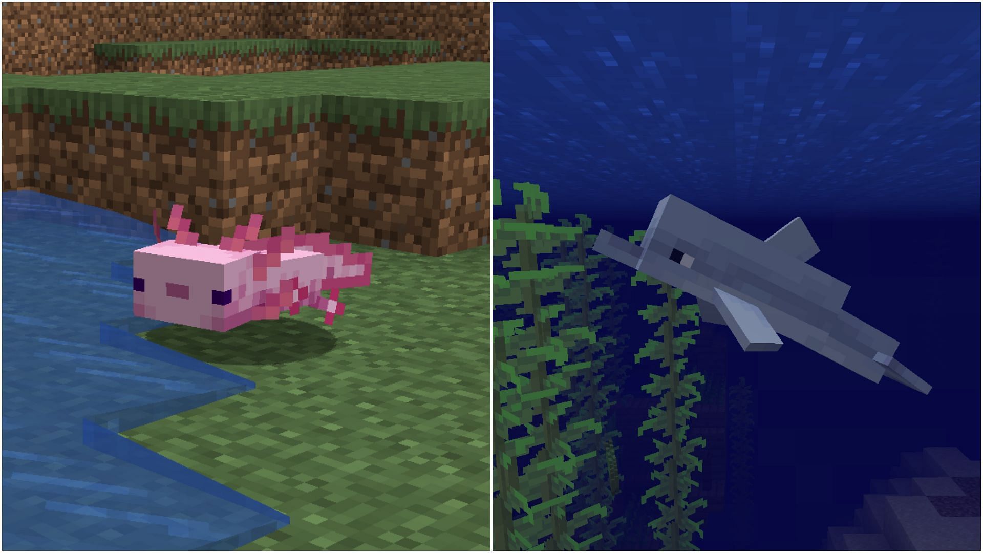 Some underwater mobs are better than others in Minecraft (Image via Mojang)