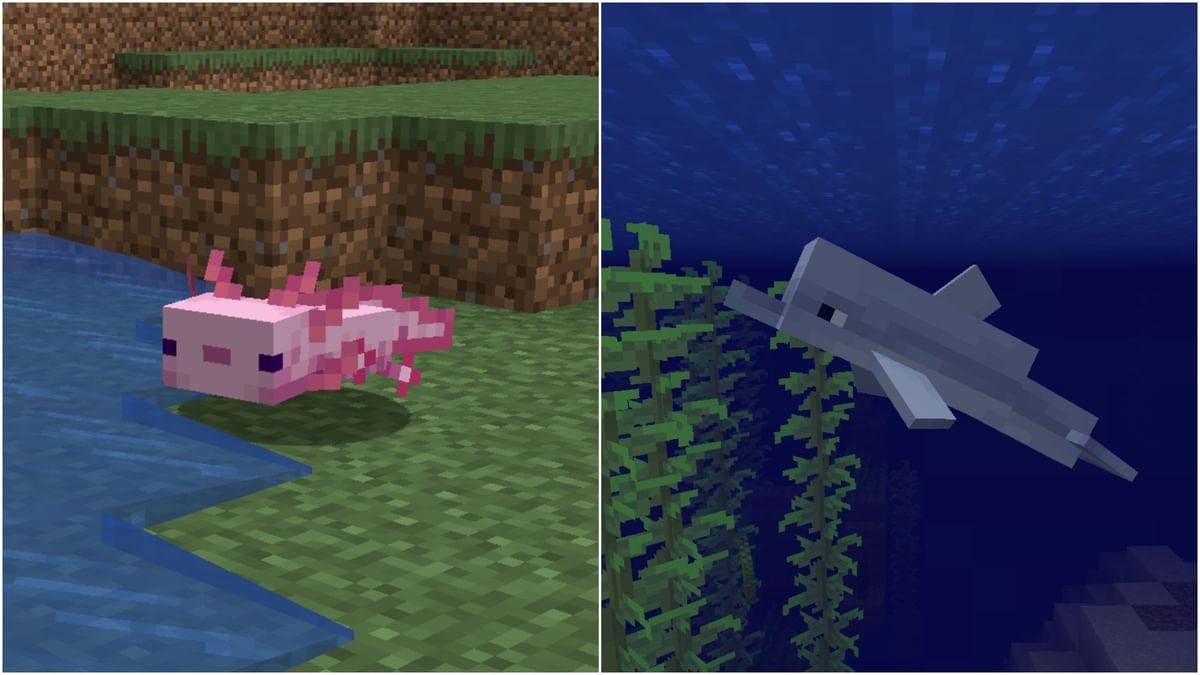 Top 5 underwater mobs in Minecraft 1.19