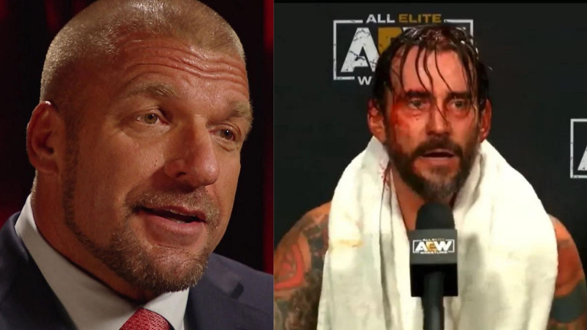 Triple H (left); AEW World Champion CM Punk (right)