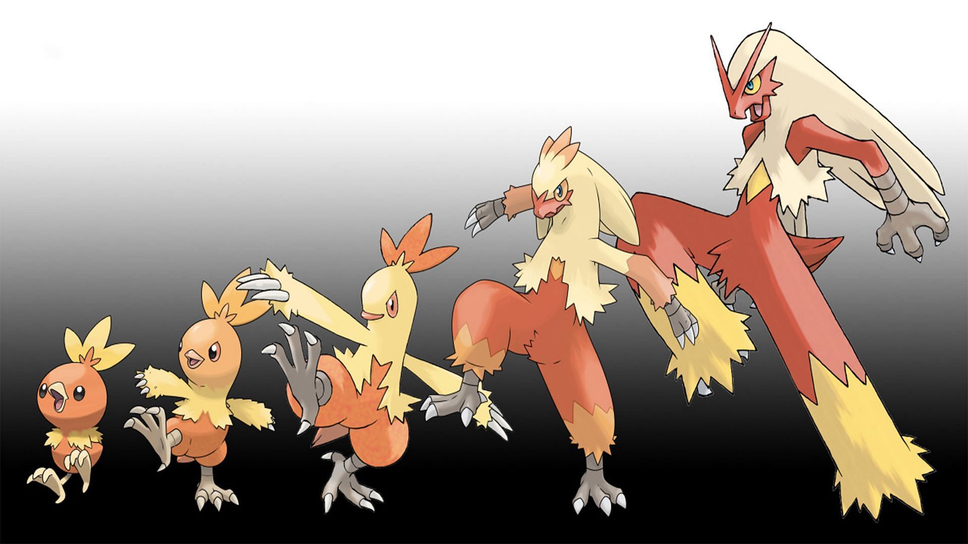 Torchic and its evolutionary chain (Image via The Pokemon Company)
