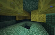 Wet Sponge in Minecraft in Minecraft