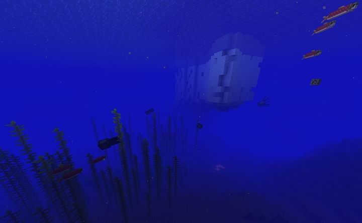 Deep Frozen Ocean in Minecraft