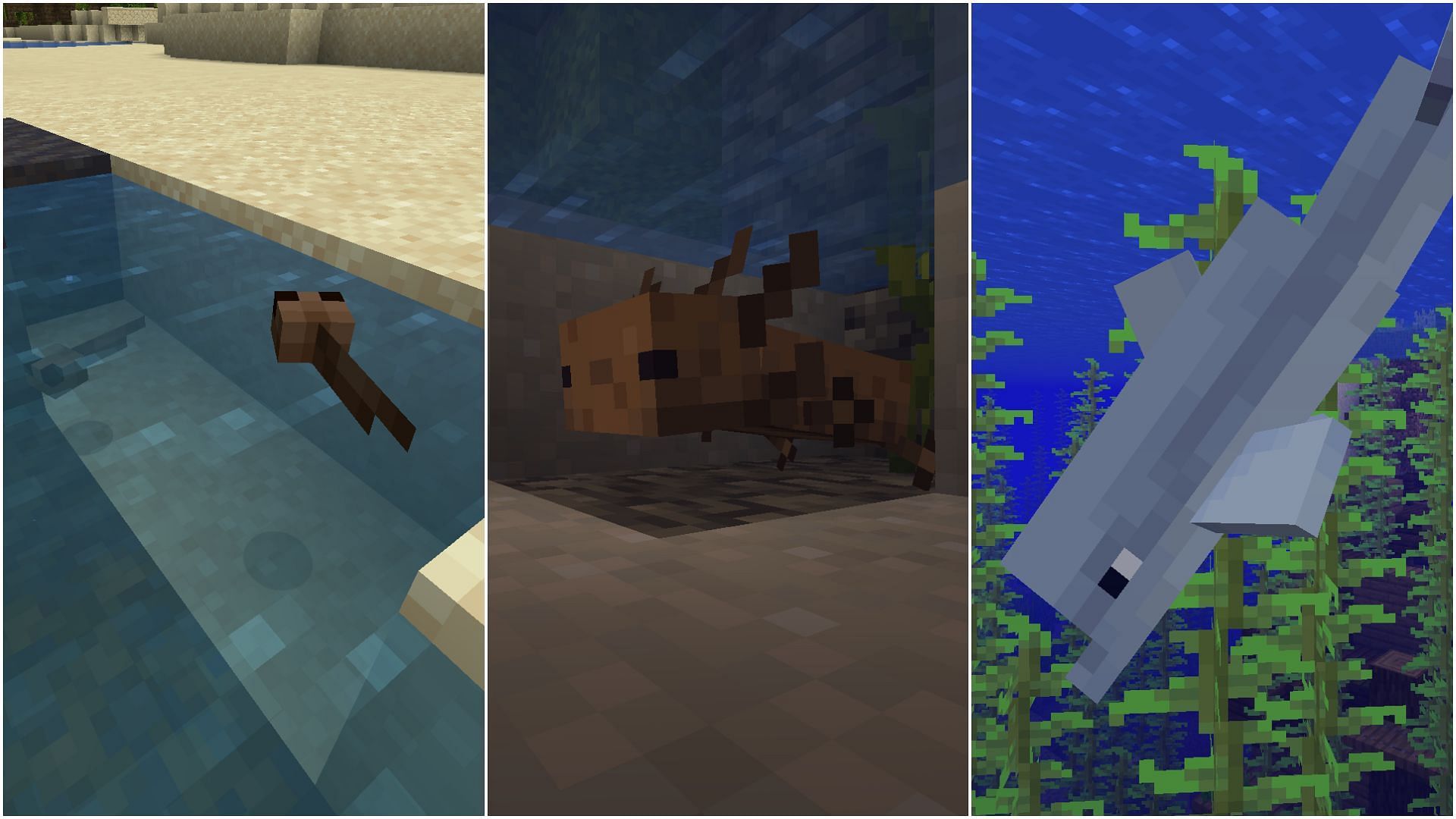 Some of the best aquatic mobs in Minecraft (Image via Mojang)