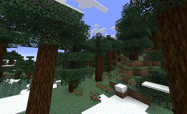 Spruce Log Block in Minecraft