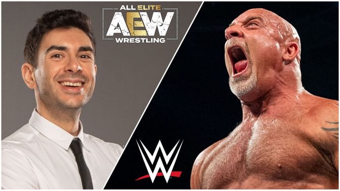 Goldberg; former Universal Champion- 5 WWE superstars who should end their in-ring careers in AEW