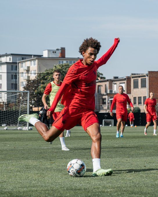 Antwerp vs Westerlo prediction, preview, team news and more Belgian