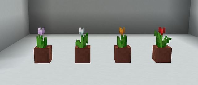 Tulip in Minecraft