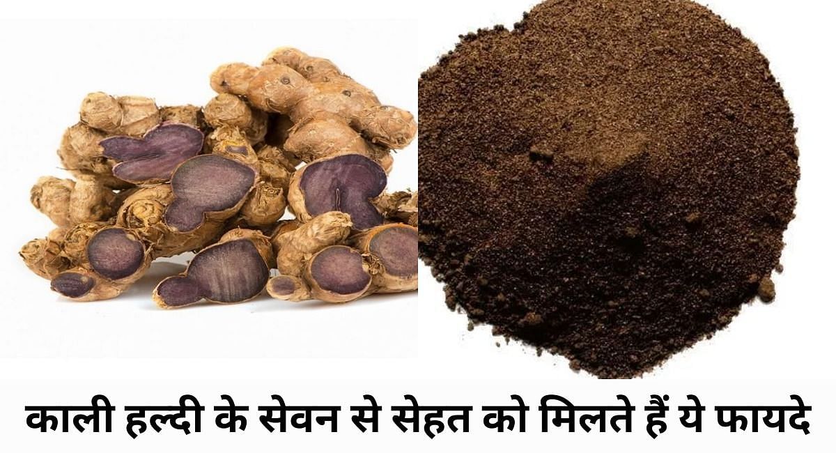 काली हल्दी के सेवन से सेहत को मिलते हैं ये फायदे(फोटो-Sportskeeda hindi)