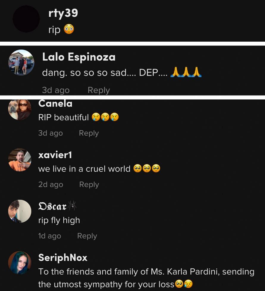 Fans mourn the loss of Karla Pardini. (Image via TikTok)