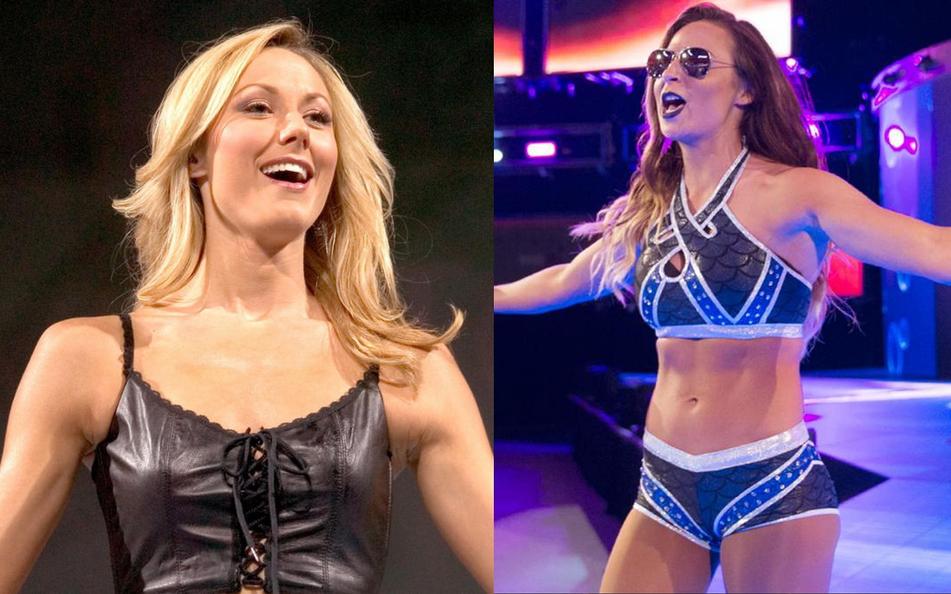 Many WWE women Superstars have come and gone, but more than several never won the WWE Women