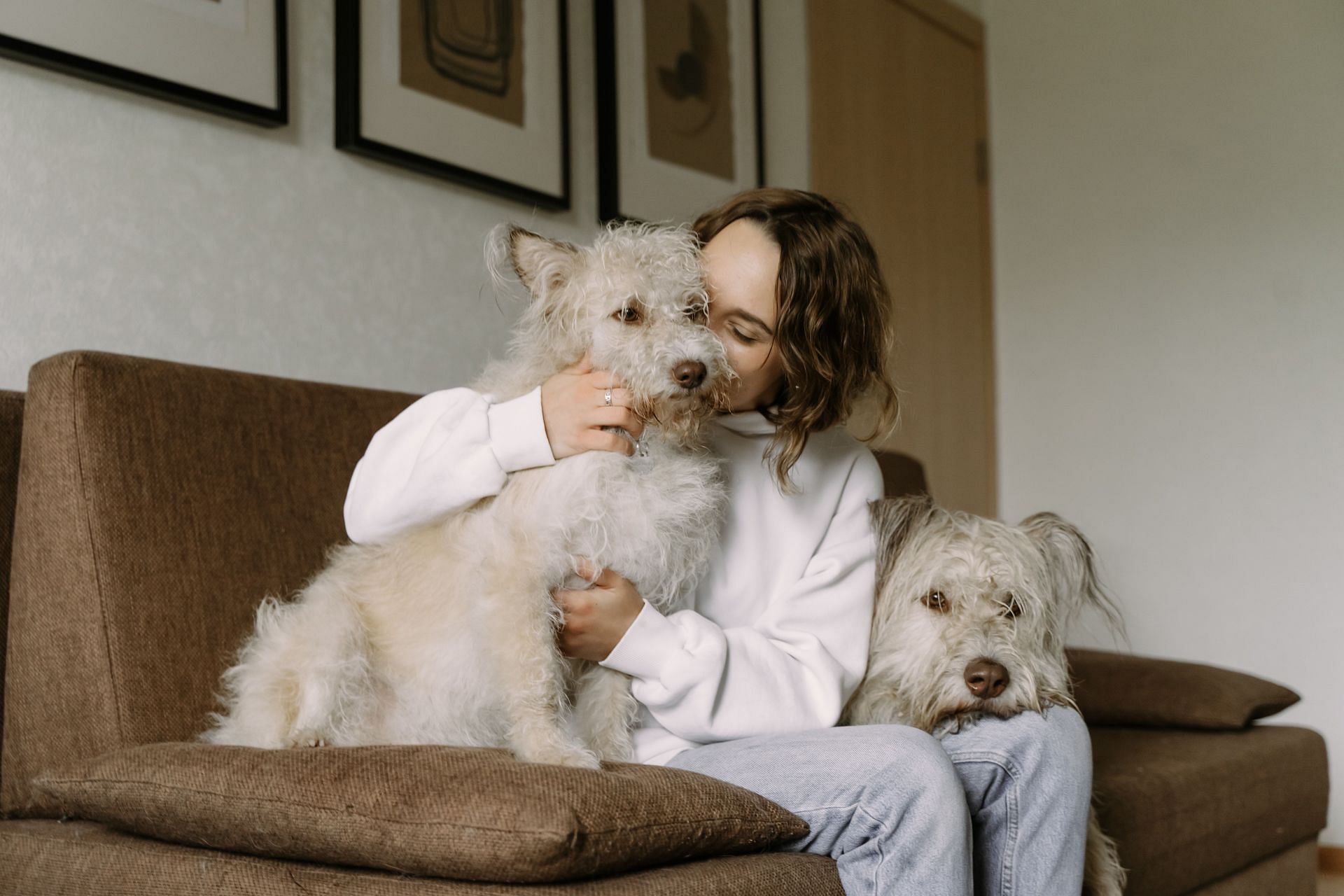 Do pets make your life happier? ( Photo via Pexels/ Yaroslav Shuraev)