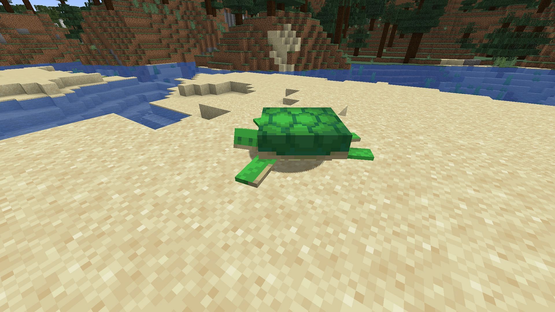 Turtles are most commonly found in beach biomes in Minecraft (Image via Mojang)