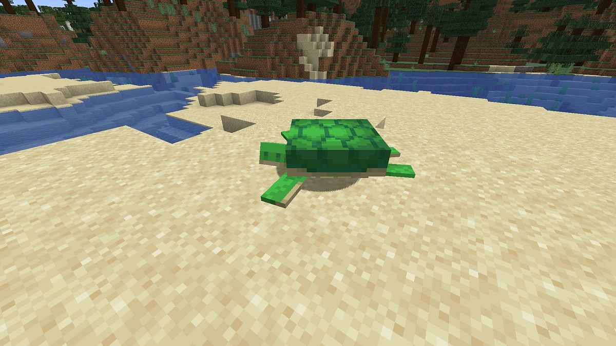 Turtle eggs in Minecraft: All you need to know