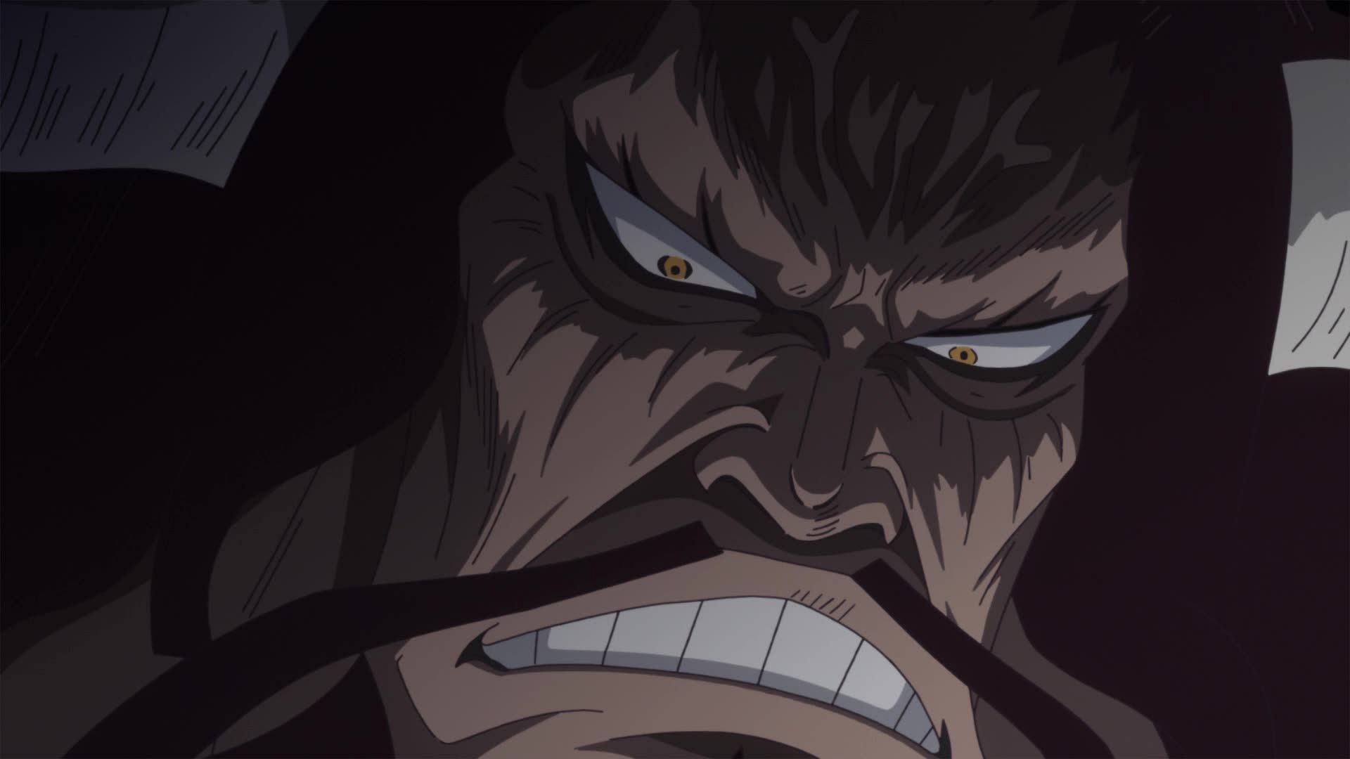 Kaido as seen in the show (Image via Toei Animation)