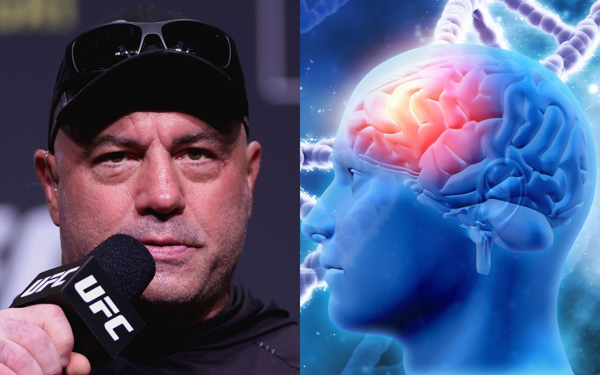 Joe Rogan discussed a controversial Alzheimer