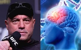 "It's so hard to believe that this could happen in modern medicine" - Joe Rogan discusses shocking Alzheimer's research fraud with JRE guest Max Lugavere