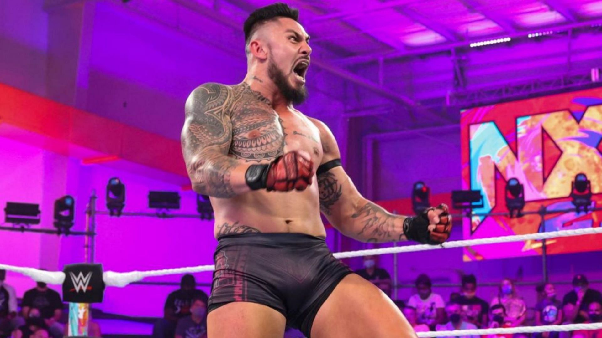 WWE is reportedly considering promoting Xyon Quinn to the main roster