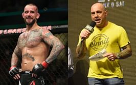 What did Joe Rogan say about CM Punk?