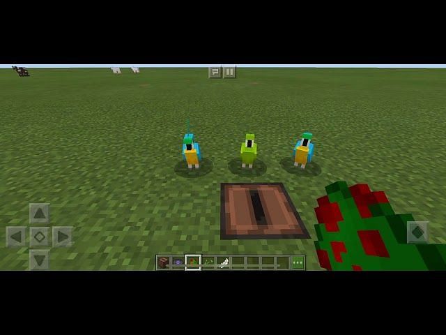 How to make parrots dance in Minecraft