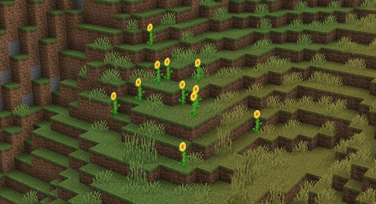 Sunflower in Minecraft