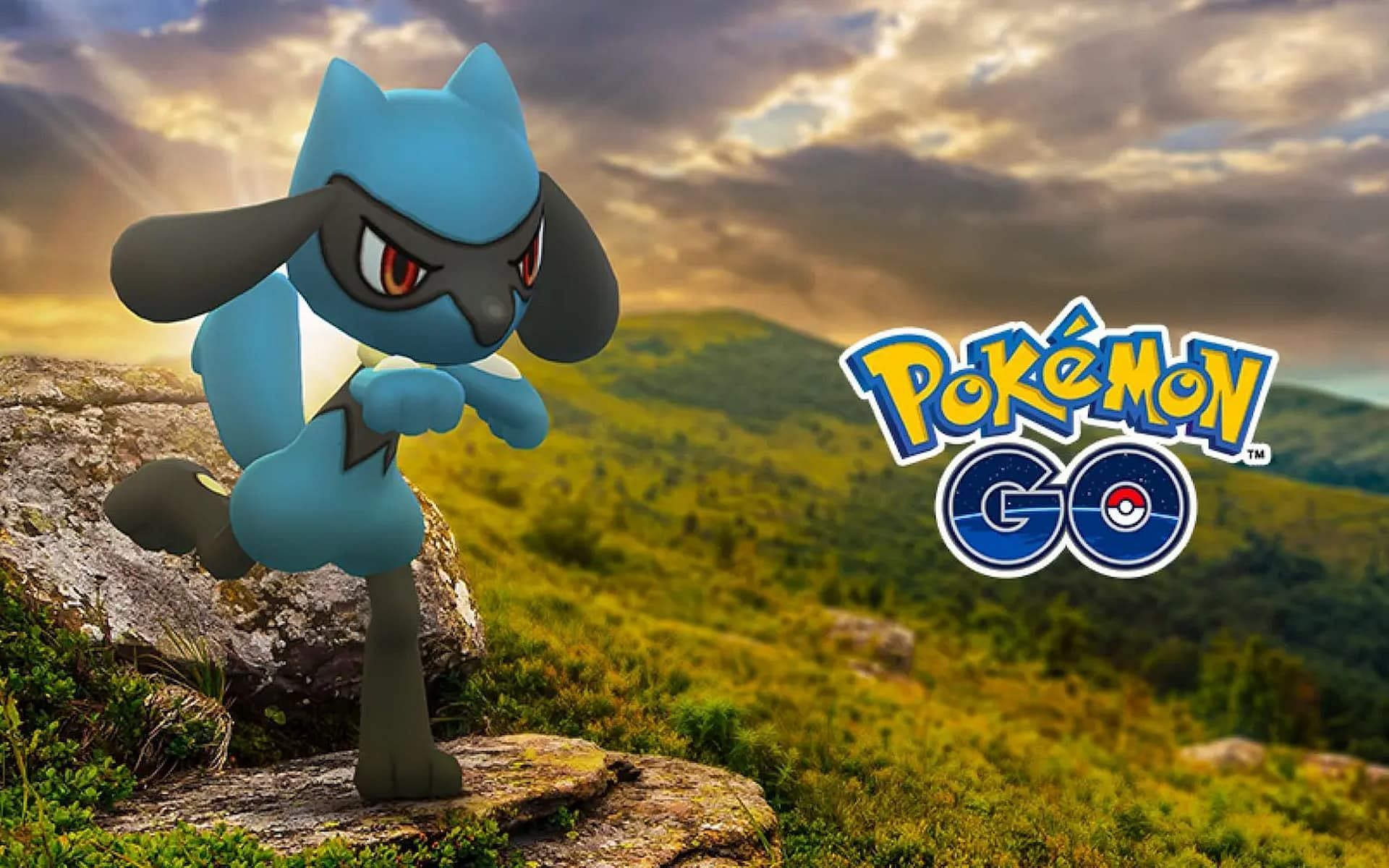 Riolu is one of the most sought after creatures in Pokemon GO (Image via Niantic)