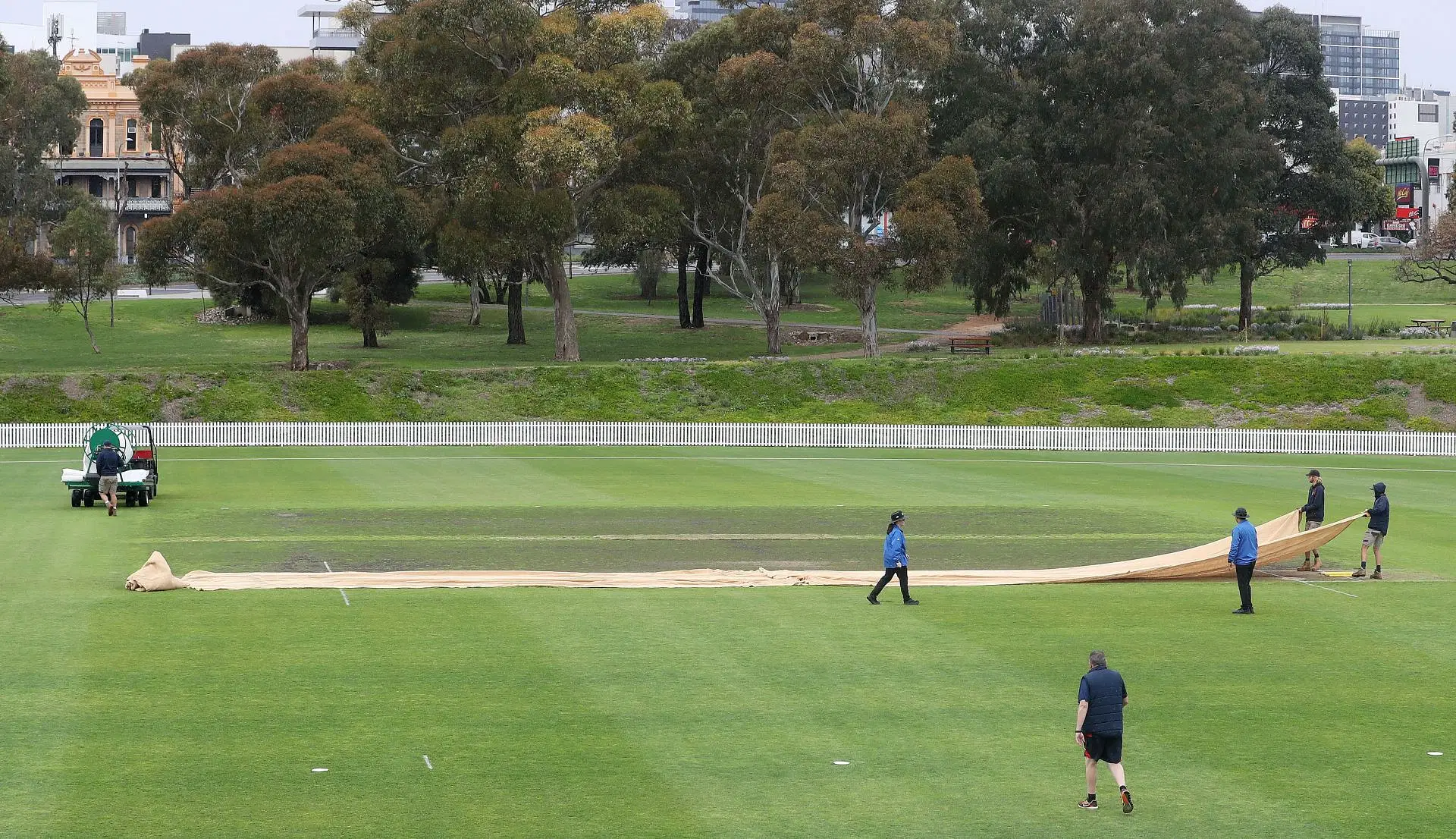 WNCL - SA v VIC