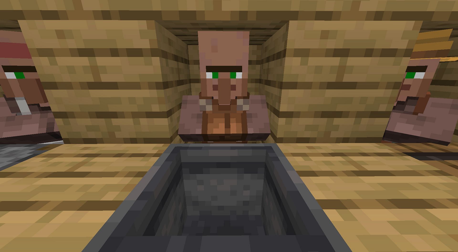 Villagers can convert into leatherworkers through cauldrons in Minecraft (Image via Mojang)