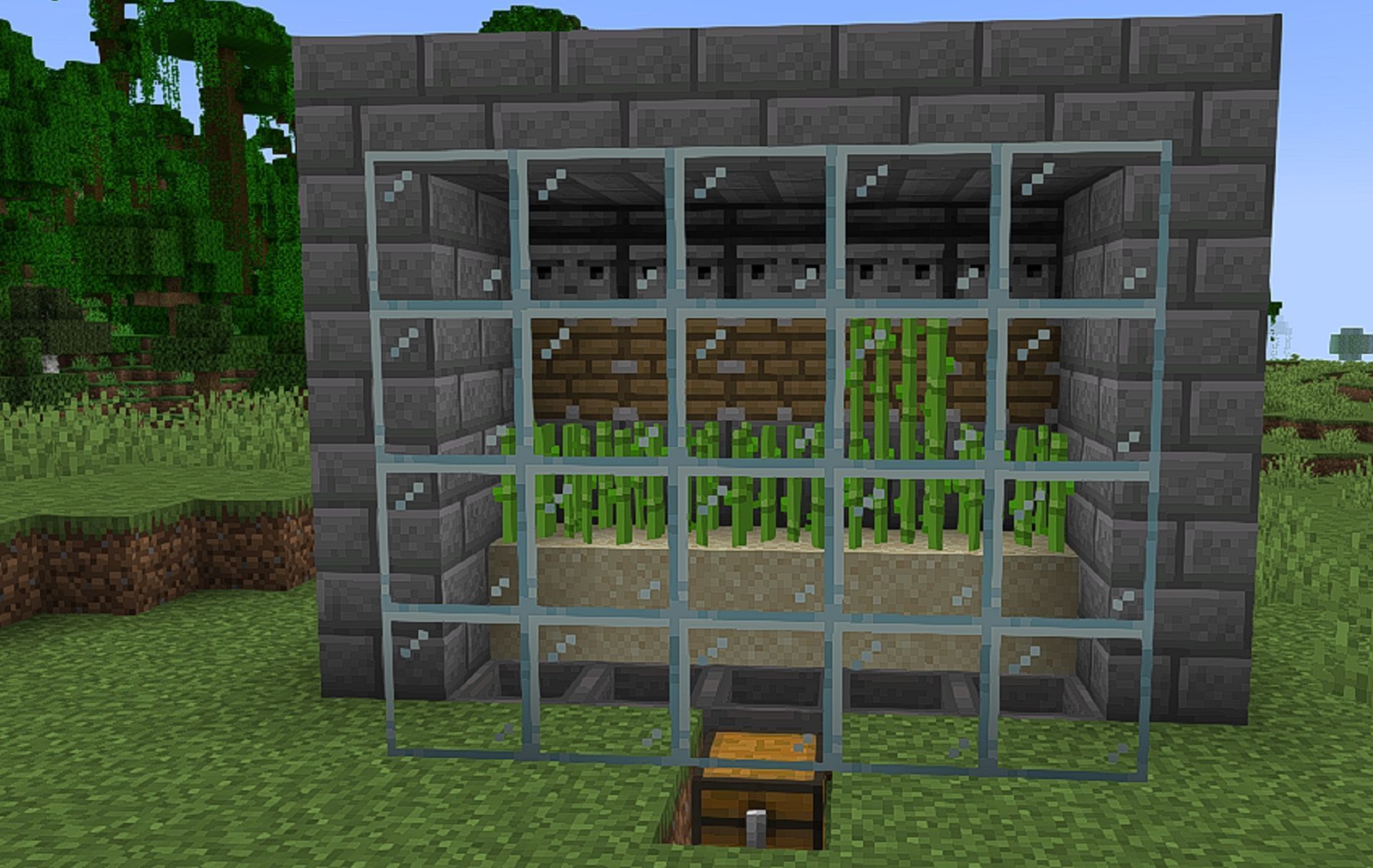 A fully-automated sugar cane farm (Image via Mojang)