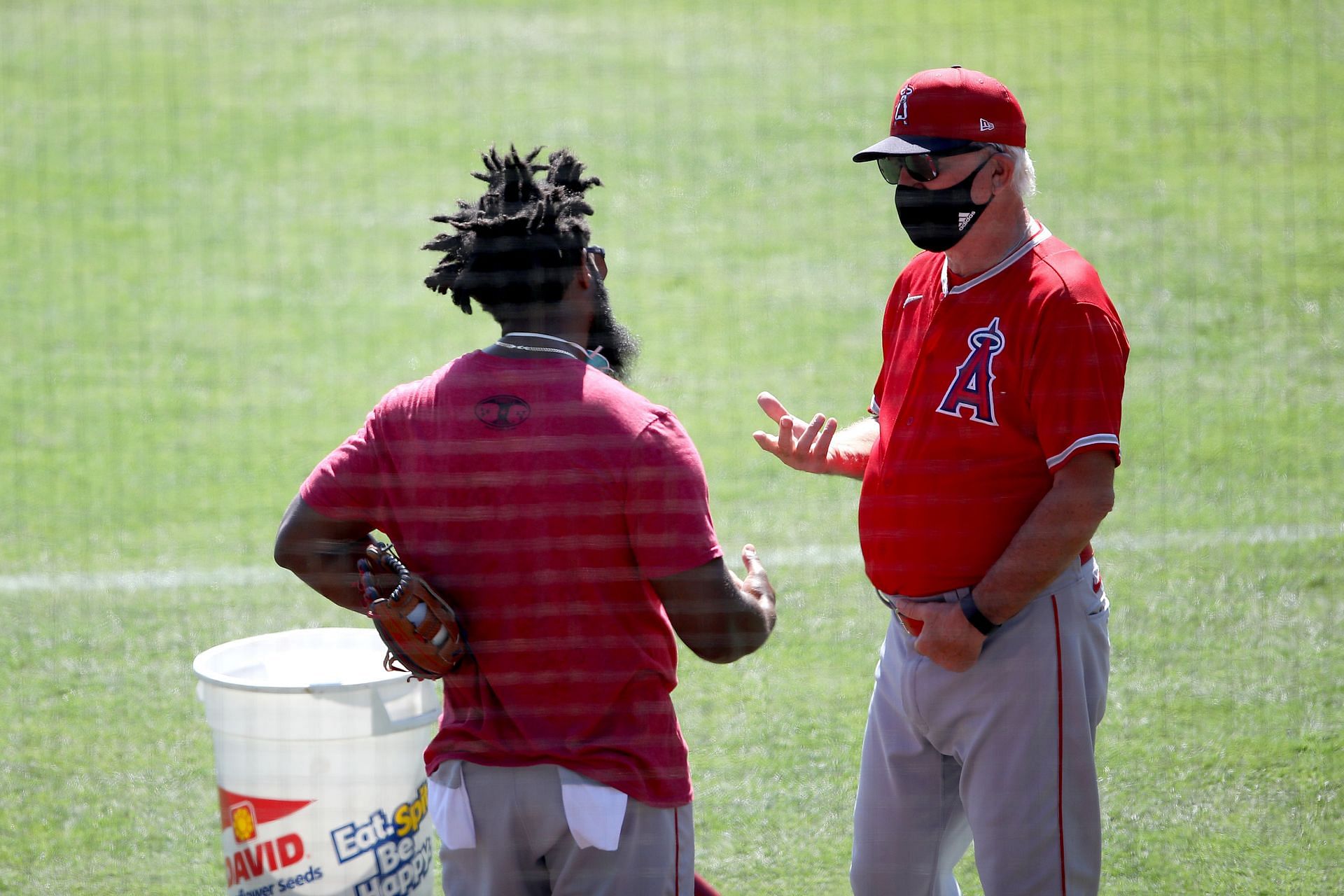 Los Angeles Angels Summer Workouts