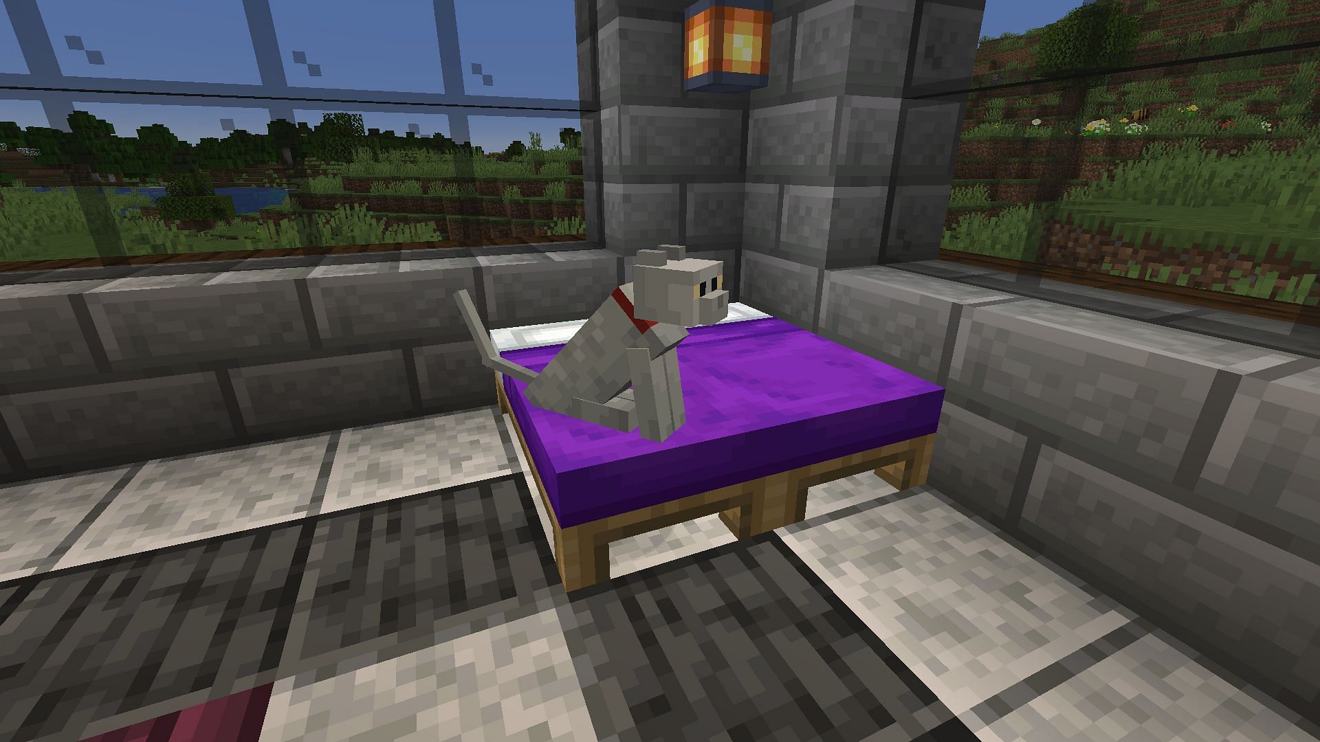 A cat sitting on a player&#039;s bed (Image via Minecraft)