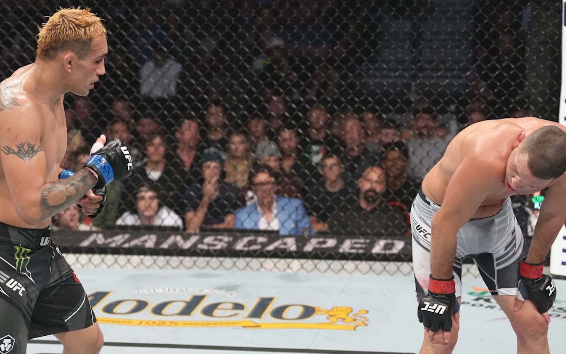 Tony Ferguson vs Nate Diaz [Image courtesy: UFC and ESPN MMA via YouTube]