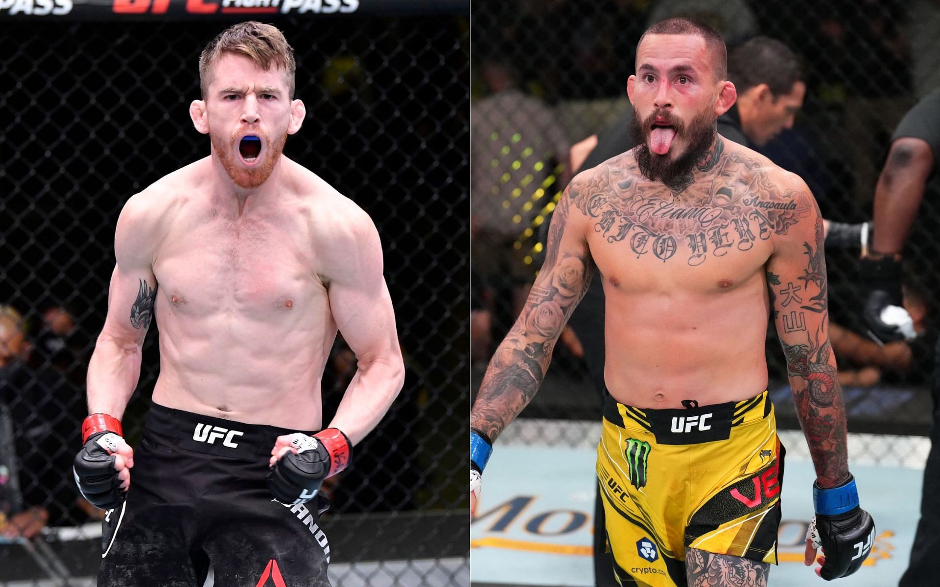 Could Cory Sandhagen face off with Marlon Vera next?