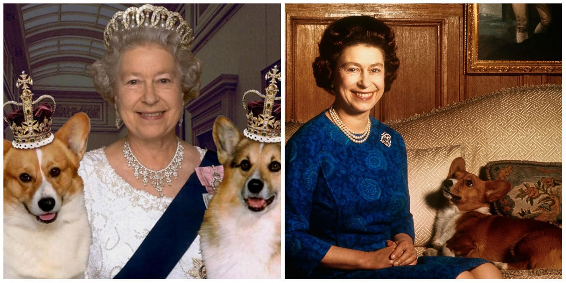 Queen Elizabeth and her dogs: What will happen to them now that the monarch is no more? (Image via Twitter)